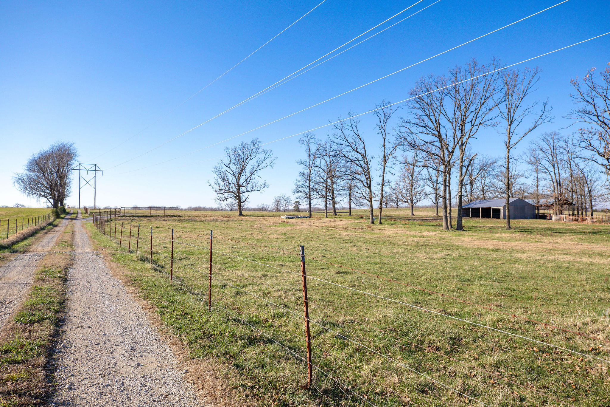 Tbd 241.32 Acres County Road 433