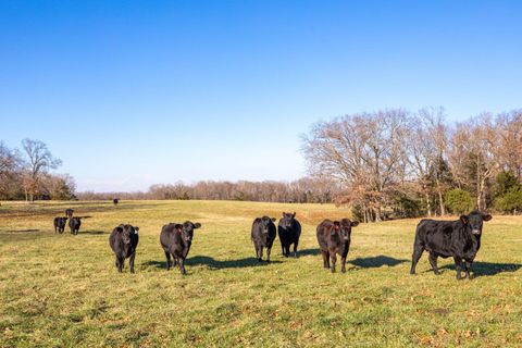 Tbd 241.32 Acres County Road 433 Oak Grove AR 72660