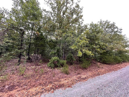 000 FERNWOOD DRIVE, THEODOSIA, MO 65761 - Image 0ecdb151b716010aa75054543c4d439e/491918541