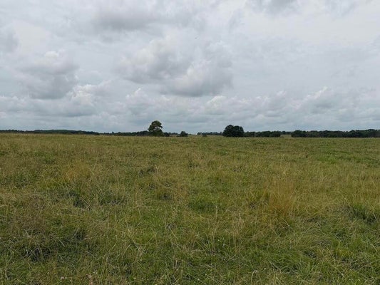 5 STATE HWY E, FAIR GROVE, MO 65648 - Image 0f4bca0dc02fc6a084cc16ee3e6208d8/1091476178