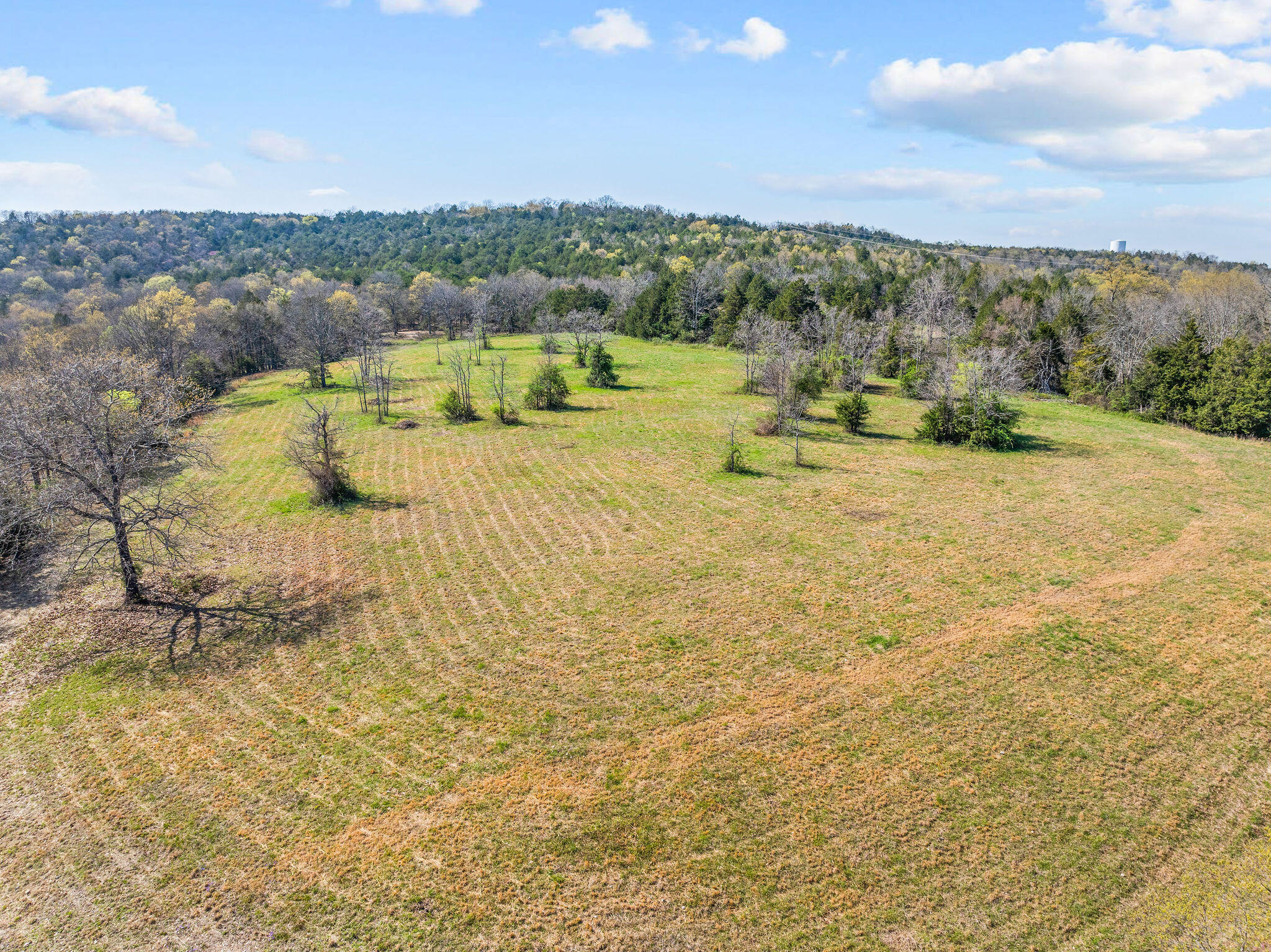 Ozark Mountain Paradise!! 125 m/l acres of unrestricted land just outside of Branson MO. Featuring a mixture of pasture land, woods, mountain views, live water, ponds, & a variety of wildlife, this nature lovers dream has it all. Multiple building sites make it ideal for your dream home. Multiple access points & trails are established. If it's a quiet secluded spot to live, a large hunting retreat, land to run livestock on, or all of the above that your looking for, this rare opportunity checks all the boxes. Just minutes from famous Branson MO with Live Entertainment, Shopping & Dining. Close proximity to 3 local lakes that offer renowned fishing, recreational boating, diving, & leisure. Multiple access points to Table Rock Lake, Lake Taneycomo, & Bull Shoals Lake are within 10-30 minutes. Large tracts of land with in a Prime location are getting harder to come by. Invest in your future today! All measurements are approximate.