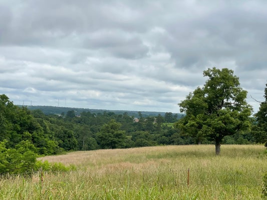 16.7 AC TURKEY RIDGE COURT, PINEVILLE, MO 64856 - Image 102e077dd64c654ed49fcc221b3d8b69/3364066983