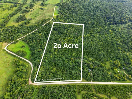3478 S 216TH RD, GOODSON, MO 65663 - Image 12dbdfd5d6b36fb5cbed8241f4f2ce14/3548114669