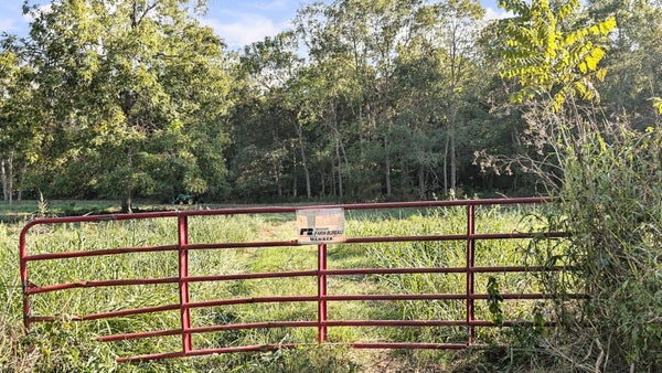 000 COUNTY ROAD 9160, KOSHKONONG, MO 65692 - Image 134297b527d57ee9b8d09b2e4cb816b3/979999066