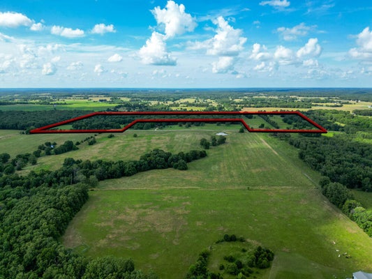 10175 DOE RUN RD, PHILLIPSBURG, MO 65722 - Image 13e9ff2b5158d1e113efd6a93fe12943/4022426173