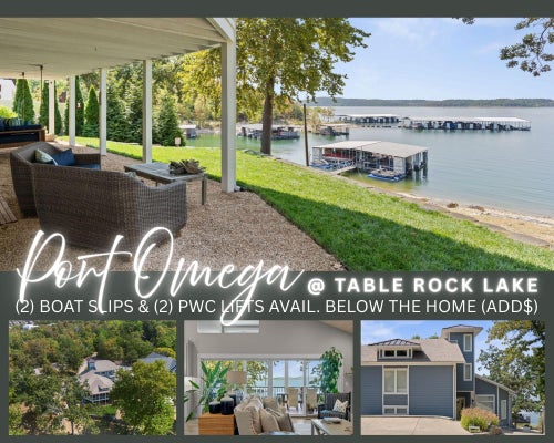 263 OMEGA LN, KIMBERLING CITY, MO 65686 - Image 152df653575cf10b1867273ba8bd0d45/2476985496