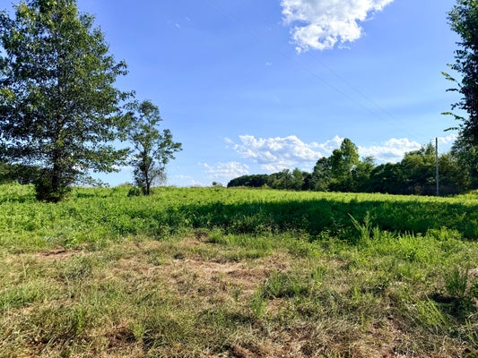 379 FABUZI LN, GALENA, MO 65656 - Image 16316b0280b123b08bb79106fcb492fa/2141336105