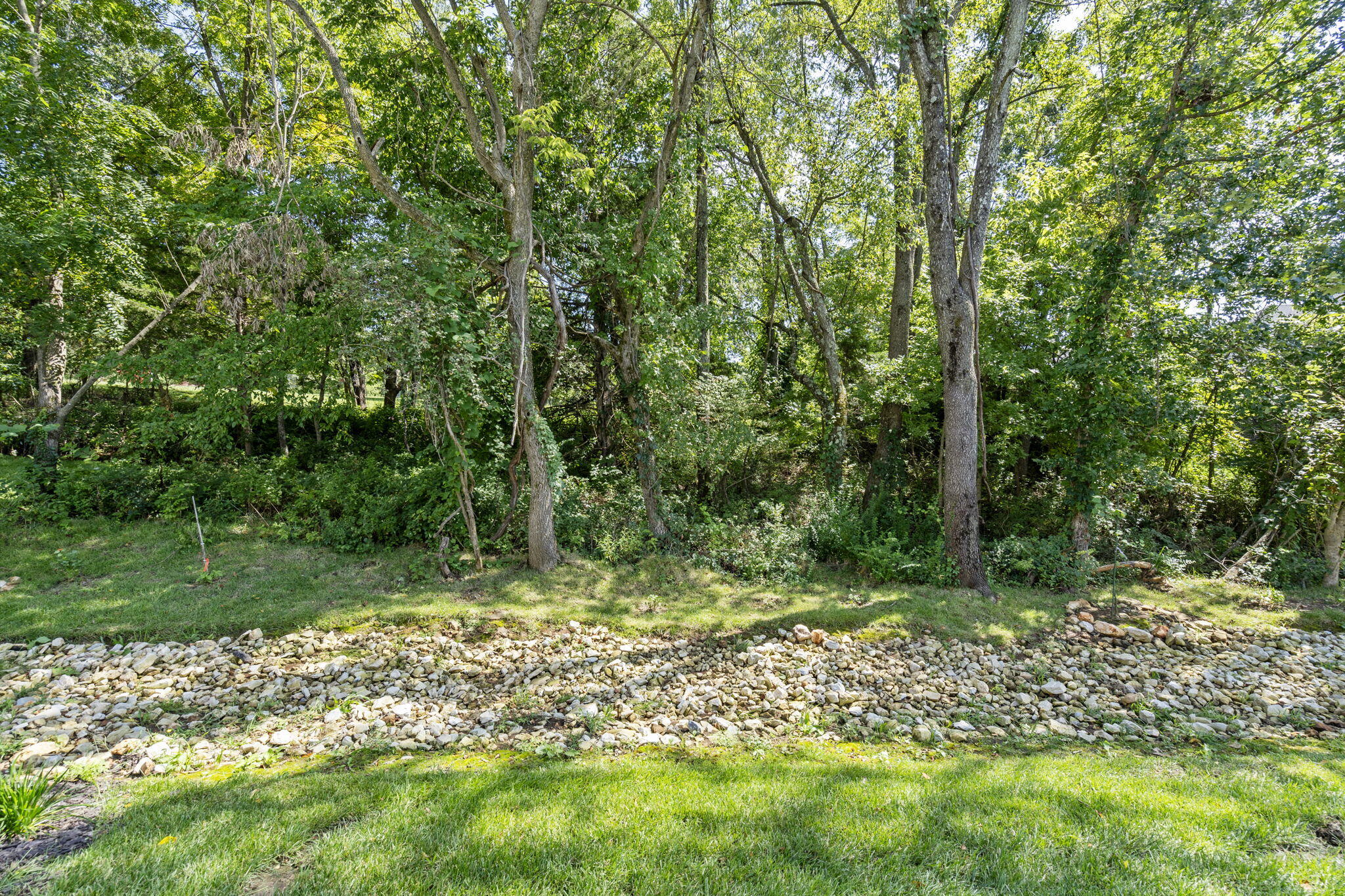 Forest Trails - Residential