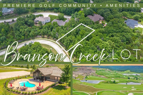 137 FOREST OAK DR, HOLLISTER, MO 65672 - Image 174fa0bef9ffbc82eaee5a87df0c1e23/84823882