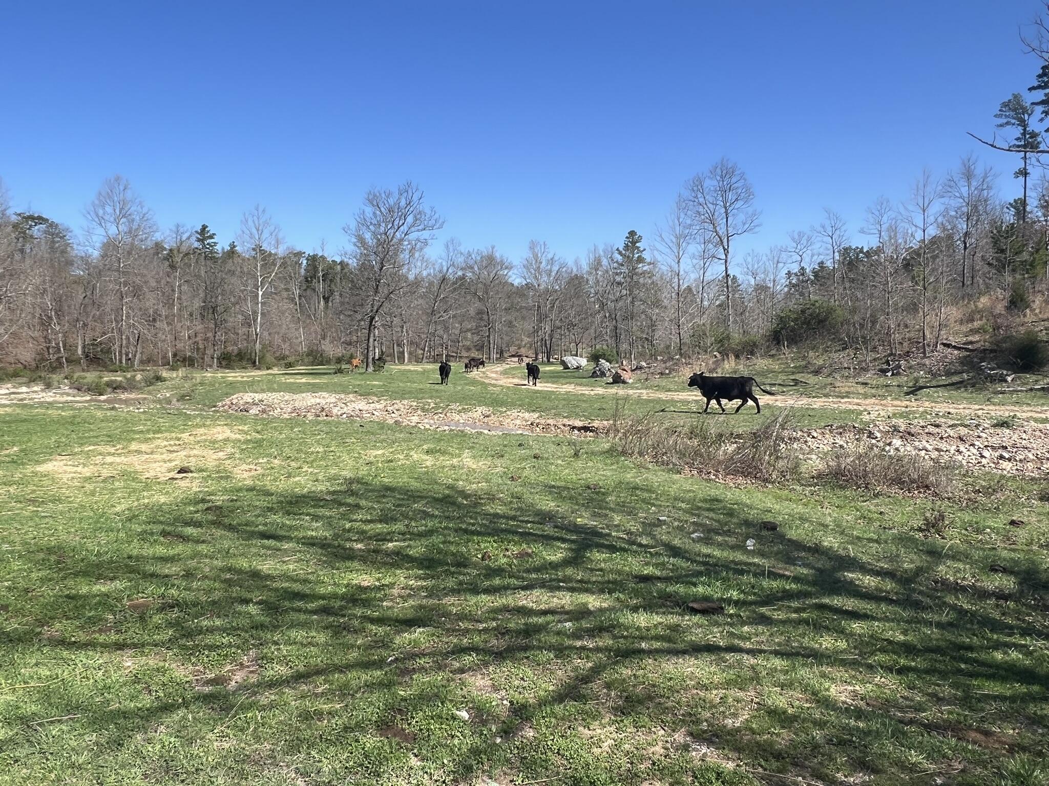 N/A - Farm