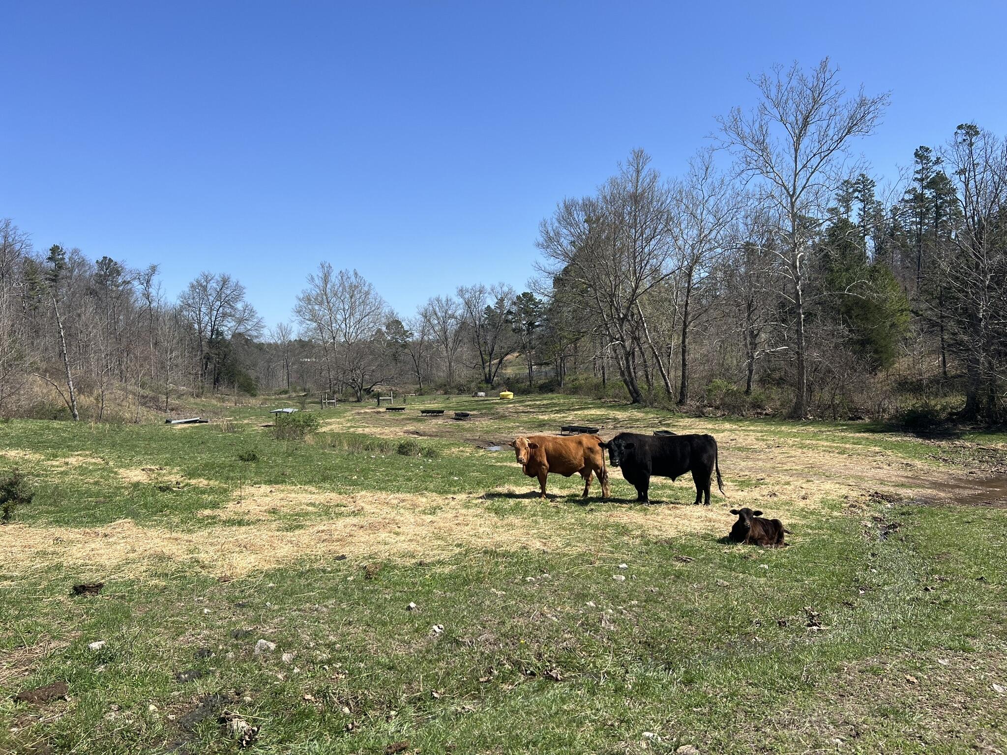 N/A - Farm