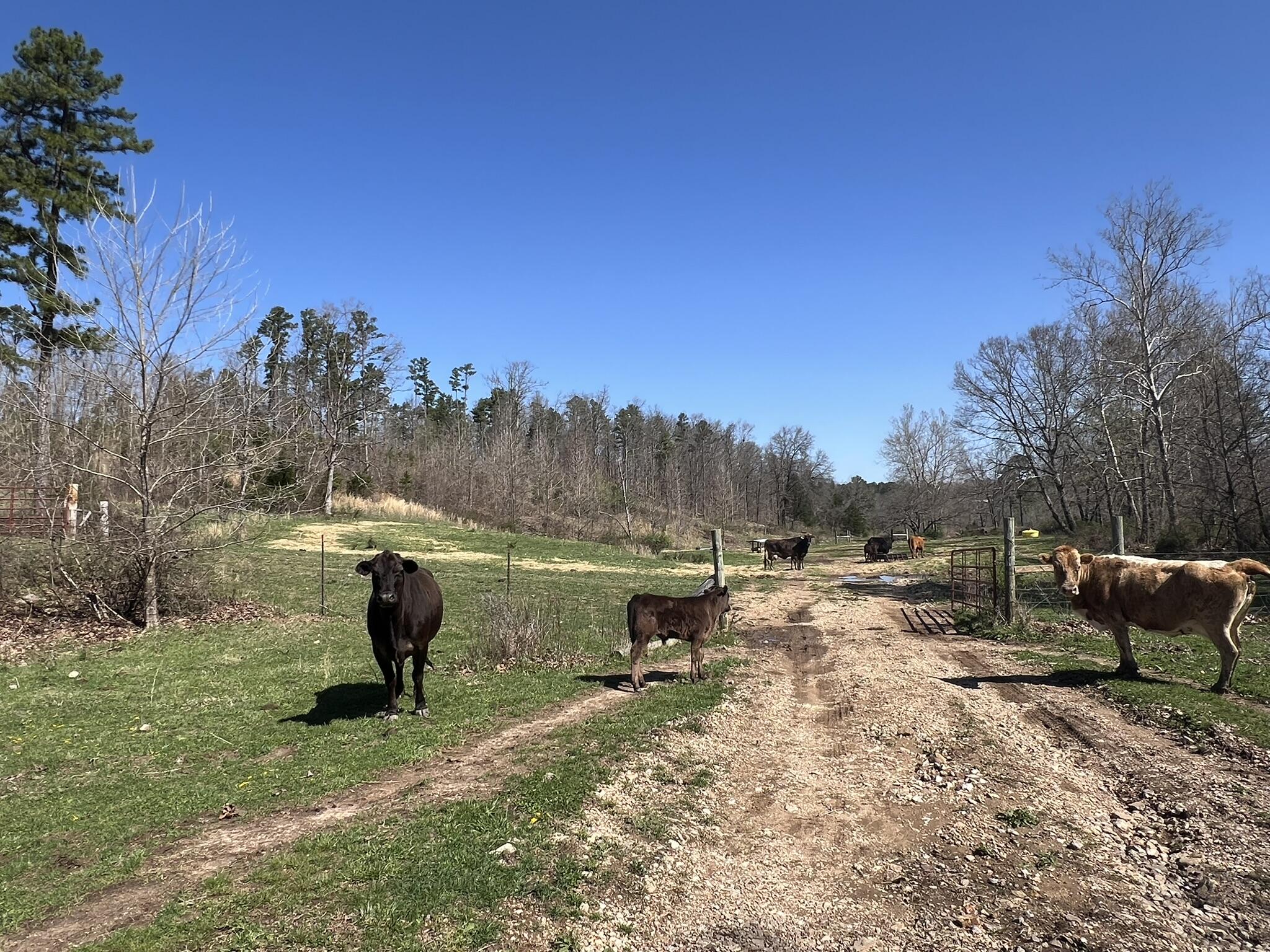 N/A - Farm