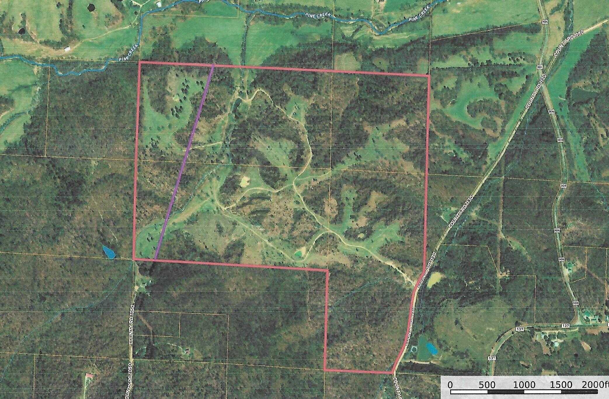 This 280 acre hunting paradise is a mix of Ozarks hills and hollers with 4 or 5 ponds, 3 good year-round springs and several other wet-weather springs. The land is perimeter fenced approximately half open and half wooded it is currently running 45 momma cows. Electric service lines run over the land for 1/2 mile near the Eastern boundary where there are several building sites with distant park-like views. There is a solid cattle working facility and a Komatsu D68E Dozer also that are included in the sale price. Seller would consider owner financing with a good down payment at 1% under prime interest rate.