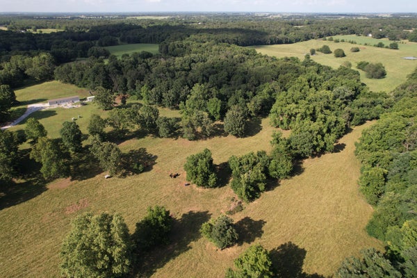 6731 RACCOON RD, GRANBY, MO 64844 - Image 17db7ccda8eab8da93b6ea682824988f/3213923818