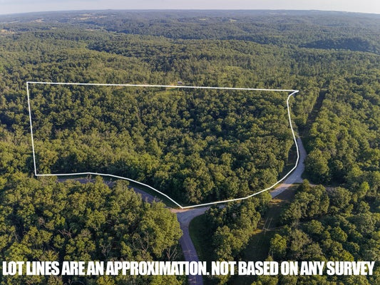TBD STATE HWY Y, WILLOW SPRINGS, MO 65793 - Image 17faef53eca4e5822d0ecebfe6744704/3739275996