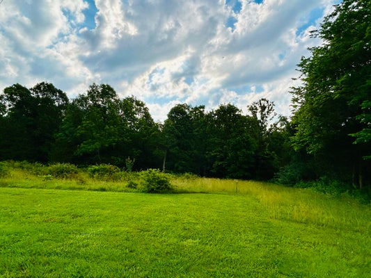 102 E LAWRENCE ST, MARIONVILLE, MO 65705 - Image 1a7a37245304abddfba332d7fe6d4ec9/2038962524