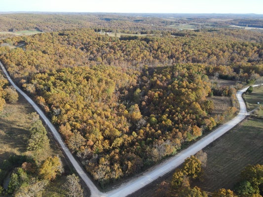 KING RD, MOUNTAIN GROVE, MO 65711 - Image 1ba6a07d9c3c24eab09d07ee6b97483f/12398790