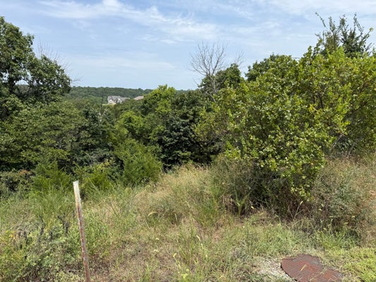 GEMSTONE DR, REEDS SPRING, MO 65737 - Image 1e4f211dae90fcf3f8690a7ddabafeba/3180824988