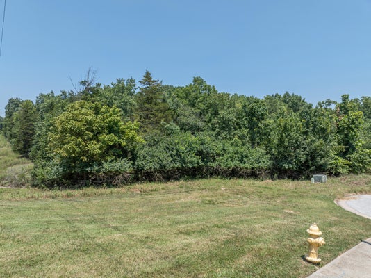5423 S RIDGE TOP, SPRINGFIELD, MO 65804 - Image 1f2c72ab9ce201cbebbdd26bb9ab16c9/1706519978