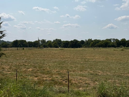 85 QUARTER HORSE LN, PINEVILLE, MO 64856 - Image 1fd94c6b03abd23e4f4cb6da11750c4e/167970336