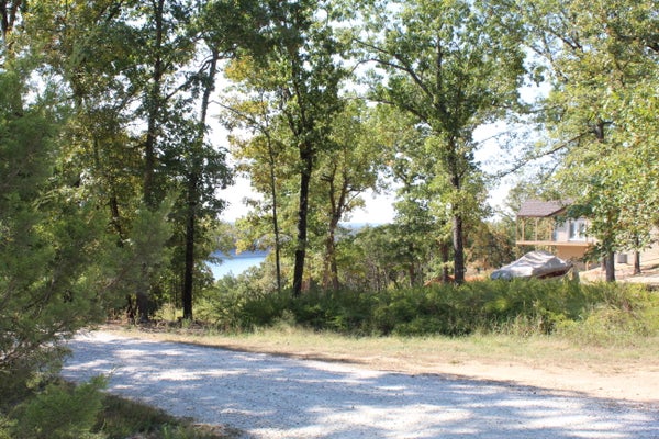 000 BLUE LAKE DRIVE # LOT 26, PROTEM, MO 65733 - Image 20cf85f209f16ebb3479181045ef59ed/1447623406
