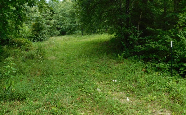 4286 SE 871 RD, COLLINS, MO 64738 - Image 20dccafbbaa7ca735645158bf89e8a64/2303817411