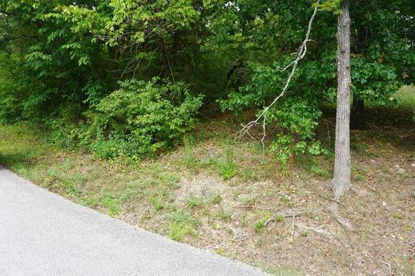 46 CANNONBALL RUN RD, BLUE EYE, MO 65611 - Image 20e3eb91382bd74ec55e0d4609715fb3/1466421014