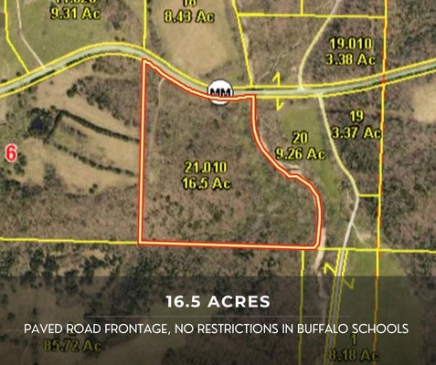 103 MISSOURI ST, BUFFALO, MO 65622 - Image 210950c45353a8bac2ddea9841ccb257/379702424