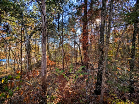 ADDRESS PRIVATE, ROCKAWAY BEACH, MO 65740 - Image 22db47b215be3bf21263208c64873947/3951106977