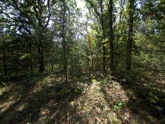 31 SIMPSON RD, URBANA, MO 65767 - Image 262ec1fe37a2252ab3c6d7e3d2bd4045/391168591