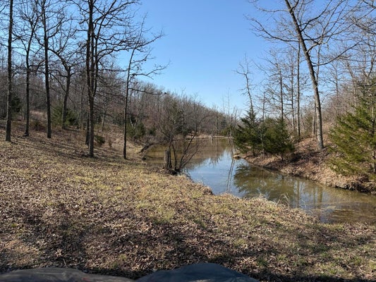 STATE RD AA, CAMDENTON, MO 65020 - Image 271fe7768568e4136ec109c92c9d035e/393861151