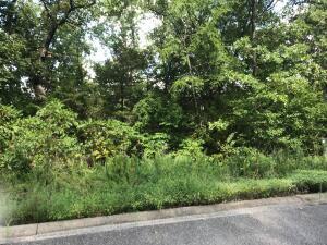 ADDRESS PRIVATE, HOLLISTER, MO 65672 - Image 2737eb66f03d15ec128b3eaad8dc39fa/1295923877