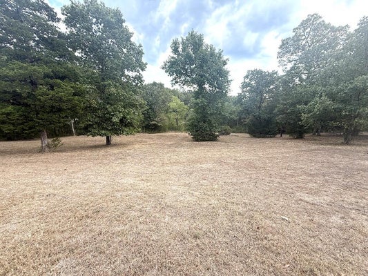 121 RANCH RD, SADDLEBROOKE, MO 65630 - Image 281bb5f23980f036a961e4560340a4ba/785157925
