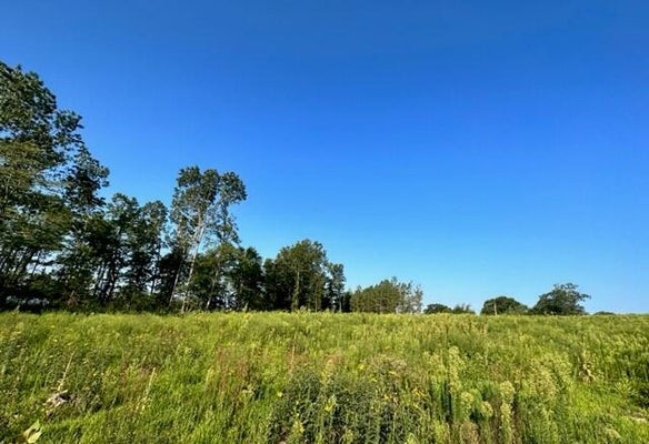 COUNTY RD 3440, MOUNTAIN VIEW, MO 65548 - Image 282b84c39044e5c9b341d5bf71e9ac51/2988685814