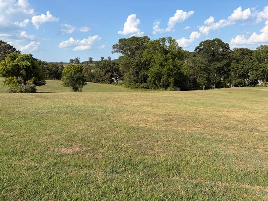 135 S 8TH ST, MAMMOTH SPRING, AR 72554 - Image 28b0bc86137f308ab43a0d3db680b3cb/108263893