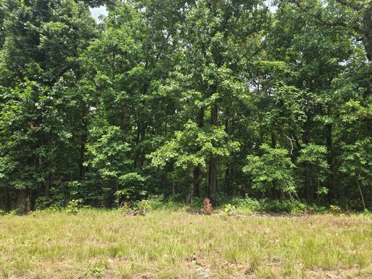 40 MULESHOE TRL, ELKLAND, MO 65644 - Image 2a6c59abec10dad40dc8d6cf9cf299d6/3480581740