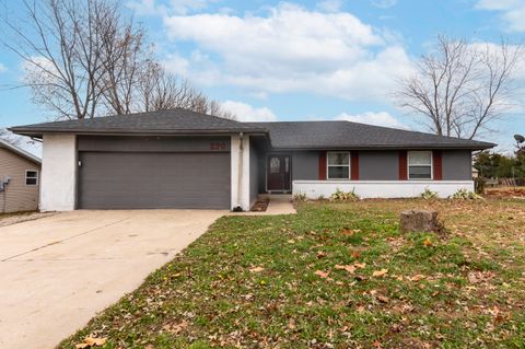 Photo of 270 S Meadowlark Street, Fair Grove, MO 65648 (MLS # 60310741)