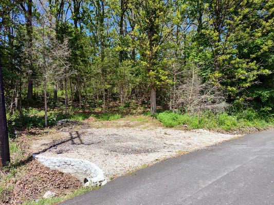 109 WOODLAND DR, BUFFALO, MO 65622 - Image 2b0b576f2ec07699607452fc613aebea/2955305359