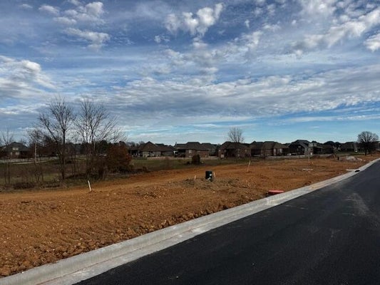CLOVER CT, NIXA, MO 65714 - Image 2bc1ed6c5a45481858088a49b9d256f2/4258514206