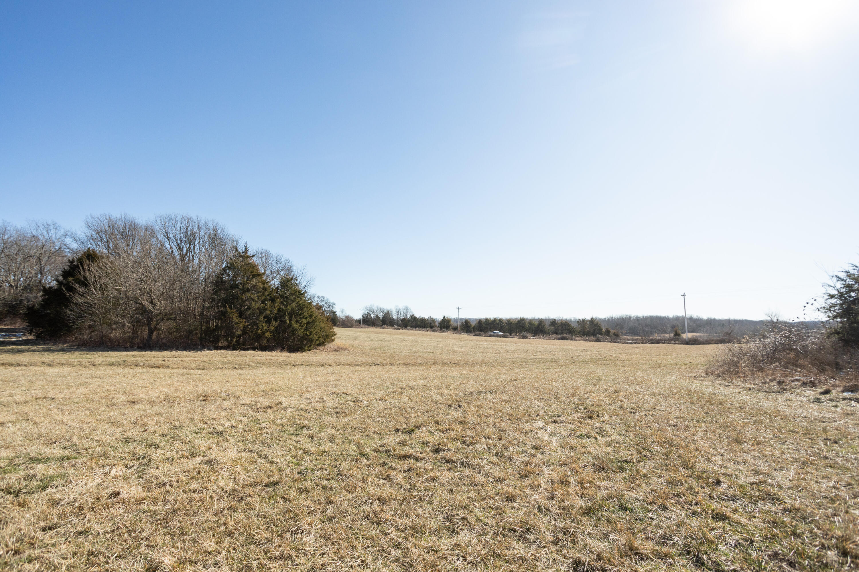 Embrace the beauty of nature with this 13.19-acre build site located in the heart of Webster County. Offering the perfect blend of convenience and tranquility, this property features paved road frontage, ensuring access while providing a sense of seclusion.The land boasts great pastures ideal for grazing or landscaping, complemented by ample fencing for added privacy and security. Enjoy a harmonious mix of timber throughout the property, providing shade, beauty, and a natural habitat for local wildlife.This vibrant setting is not only an ideal spot for building your dream home but also offers endless opportunities for outdoor activities, gardening, and farming. Whether you're seeking a peaceful retreat or a place to cultivate your passions, this property is a canvas ready for your vision.Don't miss your chance to own a slice of paradise in Webster Count! This is the perfect opportunity to create your own sanctuary in a stunning rural landscape!