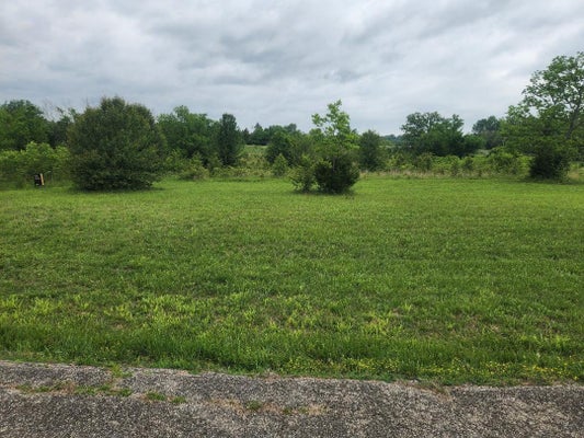 9 COUNTRY MUSIC LN, GALENA, MO 65656 - Image 2bdd4d2ca784fcc876170b62e780602b/2737604292
