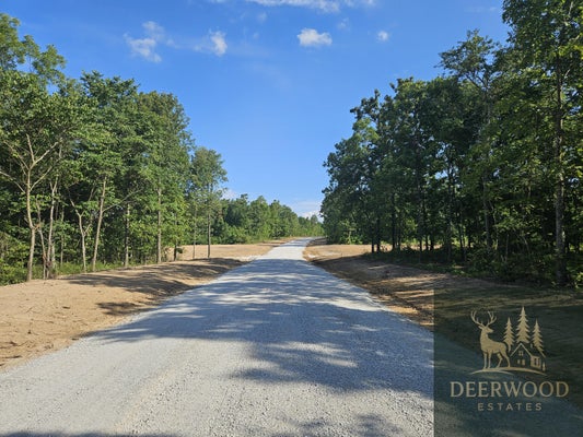 S DEERWOODS LN, REPUBLIC, MO 65738 - Image 2d2181c9eaba44544e6746a567c9c7d0/1882487145
