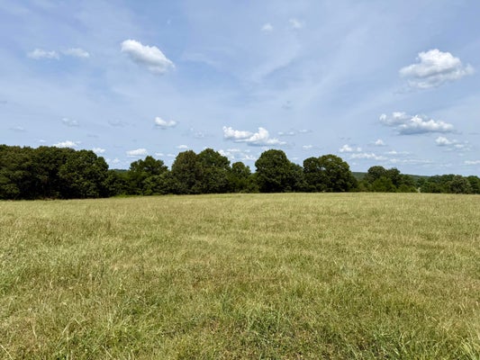 BARNUM DR I 2, CABOOL, MO 65689 - Image 2d821e854c595d2dd8196b6c9cc80acd/76523238
