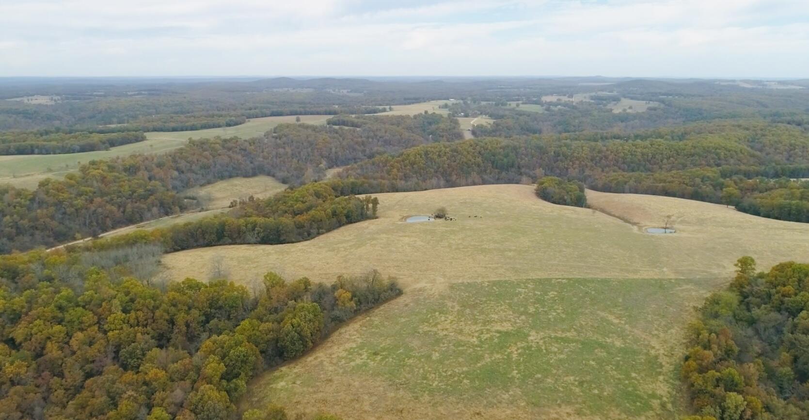 Discover a remarkable working cattle farm nestled in the scenic heart of the Ozarks, just 20 minutes from West Plains. This expansive property boasts approximately 195 acres of lush pasture and 52 acres of beautiful wooded land featuring marketable timber. Enjoy the tranquility of five ponds, complemented by a private well servicing three water troughs. One pond is spring-fed, with an additional spring located in the timber, ensuring a reliable water supply. With numerous prime building sites that offer breathtaking long-range views, this location is perfect for your dream home. Plus, the hunting here is fantastic, with abundant turkey and deer, making it an outdoor enthusiast's paradise.