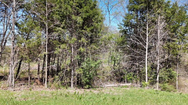 FARM ROAD 2262, GOLDEN, MO 65658 - Image 2efec045d7ee1a0b5b58afe2c9b2924d/1931819657