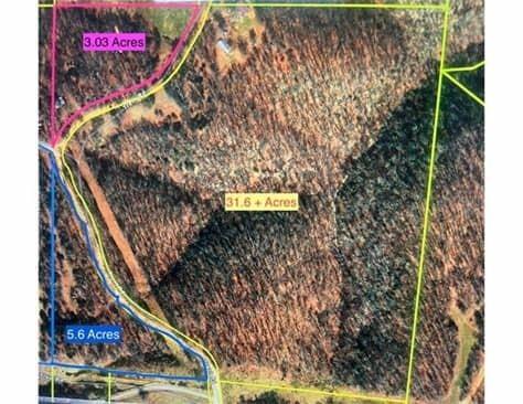 519 Trent (Tract 6 - 11.34 Acres) Road - Photo 2