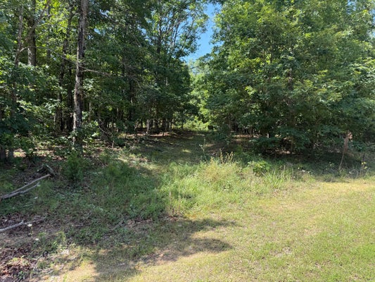 GOLDEN TRL, RAYMONDVILLE, MO 65555 - Image 302f0b94f1565d4fb3936a4a41d2d7eb/3783622693
