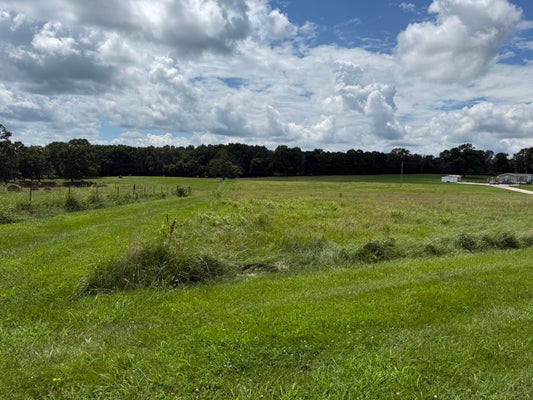 2149 STATE ROUTE W, MOUNTAIN VIEW, MO 65548 - Image 302f3363f014d9e11024ab34c23f9c85/3097277261