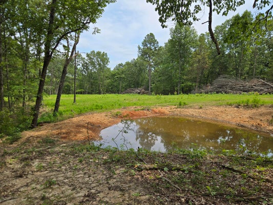 ADDRESS PRIVATE, NORWOOD, MO 65717 - Image 30baa884790f24f6401b68f91cde8045/4089188909