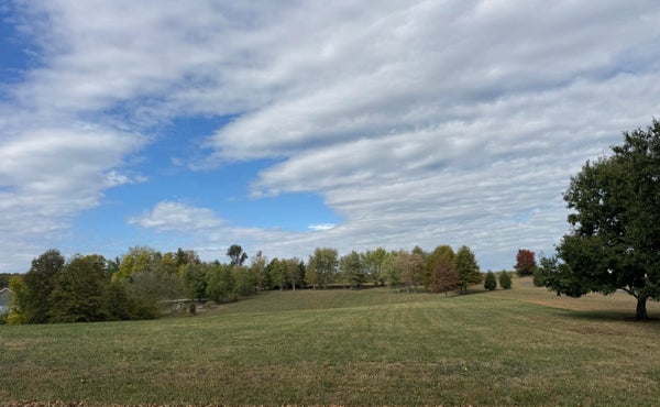 1211 HARVEST HILL LN, NIXA, MO 65714 - Image 32f46df5c0dedd74bd1640c4fd18aa61/292187573